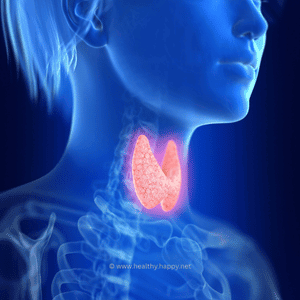 Thyroid Image